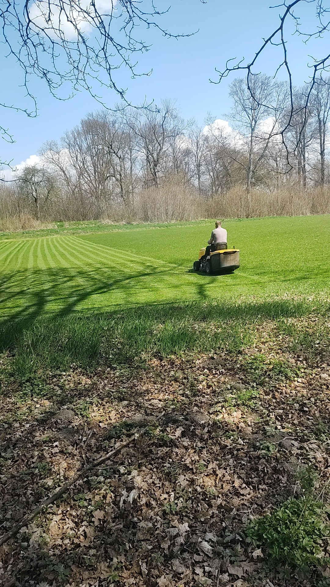 Mężczyzna kosi trawę traktorkiem na rozległym, zielonym trawniku, tworząc równoległe pasy; w tle drzewa bez liści pod błękitnym niebem.