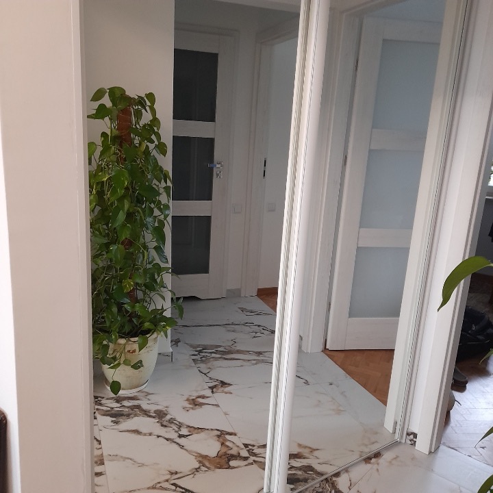 Białe drzwi wewnętrzne z przeszkleniami i marmurowa posadzka z widocznym odbiciem w lustrze, uzupełnione zieloną rośliną doniczkową.