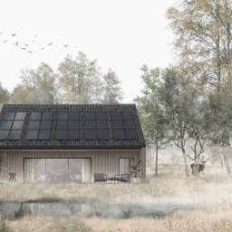 Dom w technologii drewna księżycowego Holz100 - wizualizacja.