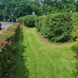 Równy trawnik pomiędzy dwoma rzędami krzewów, w tle drzewa i znak parkingu.