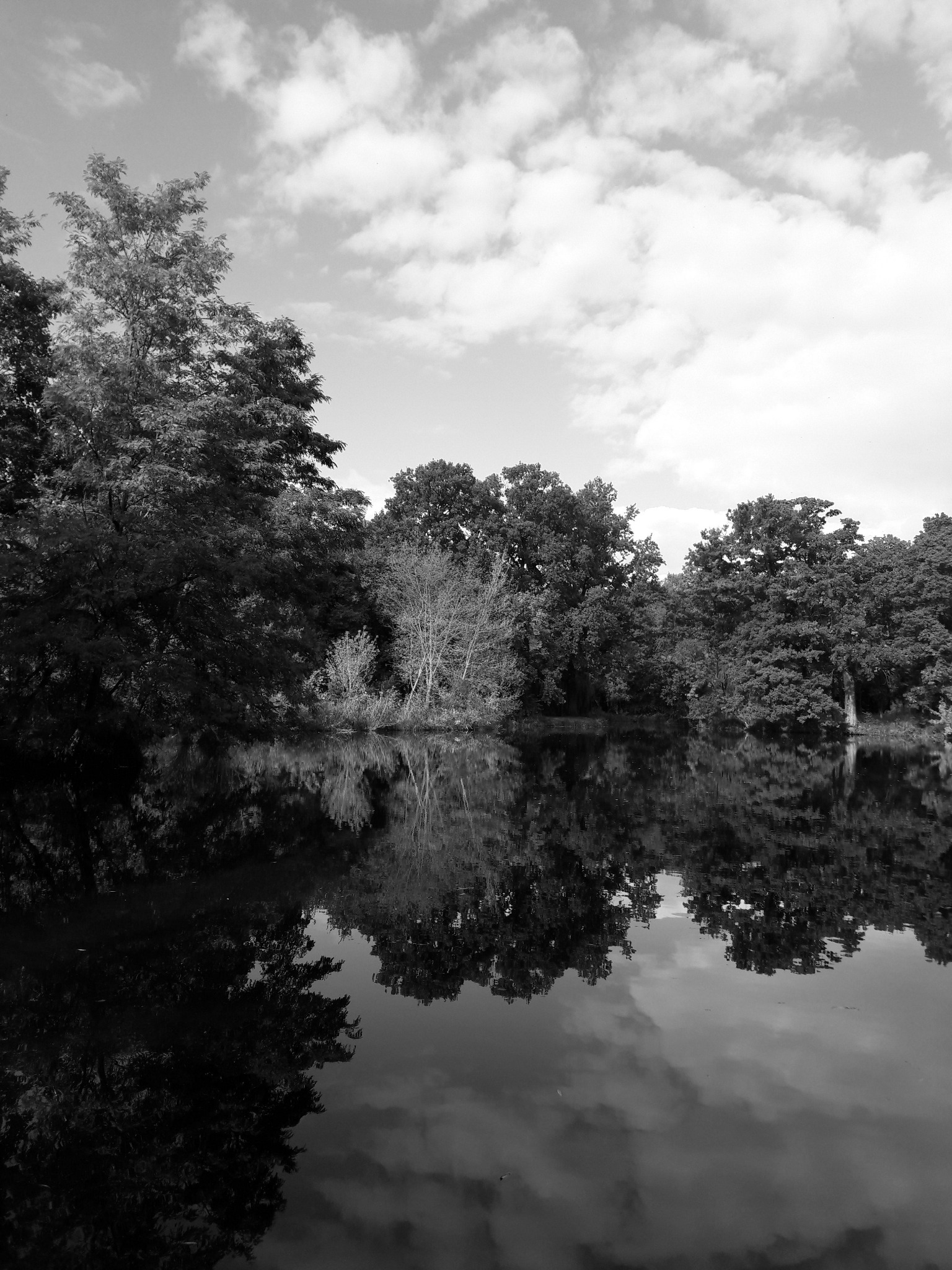 Czarno-białe zdjęcie spokojnego jeziora, otoczonego drzewami o bujnych koronach, których odbicie lustrzane w wodzie tworzy symetryczny efekt, a chmury na niebie dodają głębi kompozycji.
