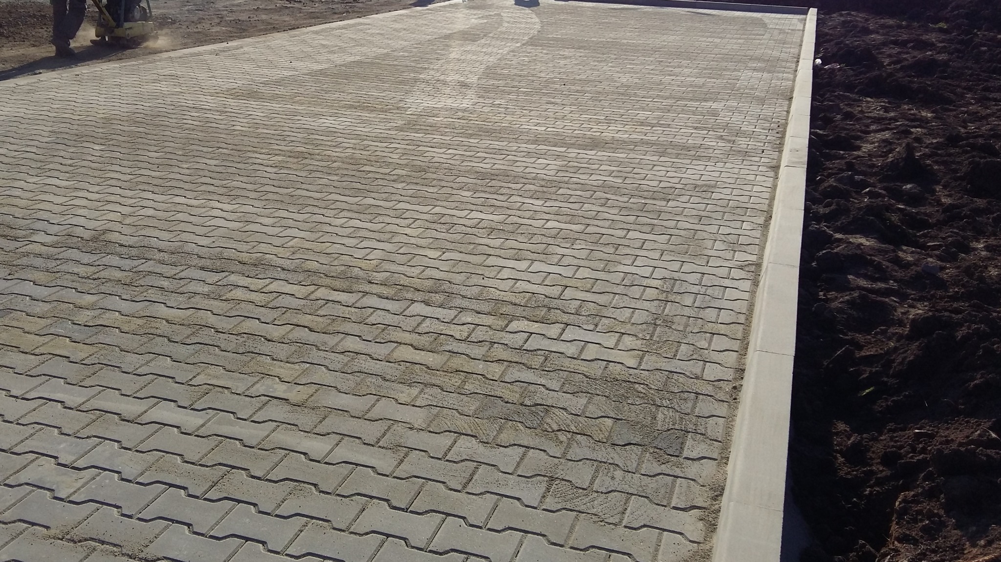 Układanie szarej kostki brukowej w Legnicy, z widoczną ubijarką w tle i świeżo zasypanymi fugami piaskiem.