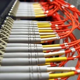 Rząd kabli światłowodowych z szarymi złączami i pomarańczowymi przewodami, uporządkowane w panelu krosowniczym.