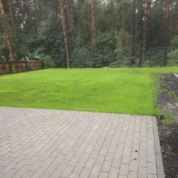 Starannie skoszony trawnik w ogrodzie z widoczną kostką brukową, drewnianym i metalowym ogrodzeniem oraz drzewami w tle.