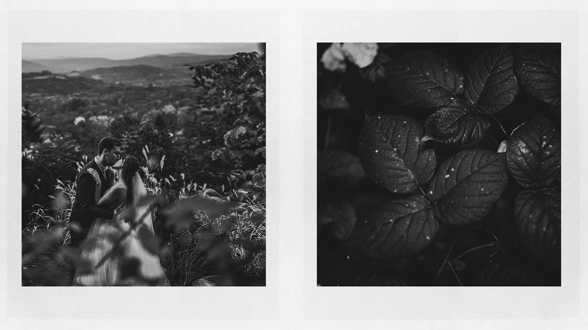 Czarno-białe zdjęcie ślubne z Krakowa: para całuje się na tle górskiego krajobrazu, otoczona zielenią, z detalami liści na drugim planie.
