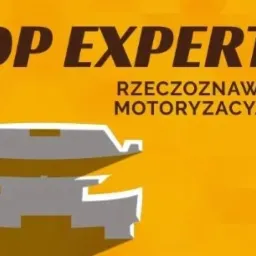 Logo firmy DP Expert, rzeczoznawca motoryzacyjny, z sylwetką samochodu w kolorze szarym na żółtym tle.