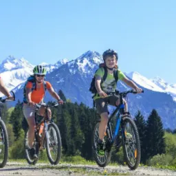 Grupa pięciu osób, w kaskach, jadąca na rowerach górskich po szutrowej drodze, w tle widok na ośnieżone szczyty górskie i las.