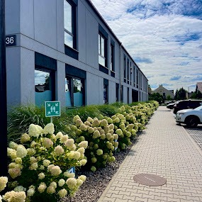 Nowoczesny budynek z numerem 36, parkingiem i ozdobnymi krzewami hortensji wzdłuż chodnika. Błękitne niebo z chmurami w tle. Ujęcie z poziomu chodnika.