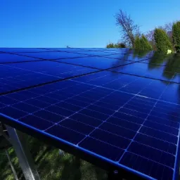 Nisko ustawiona instalacja paneli słonecznych na metalowej konstrukcji, odbijająca błękitne niebo, z zielonym trawnikiem i drzewami w tle.