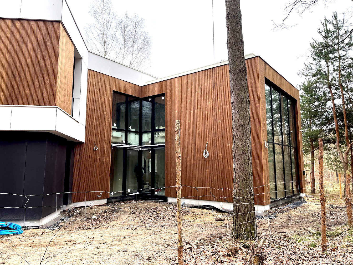 Nowoczesny dom z drewnianą elewacją i dużymi oknami z czarnymi ramami, otoczony młodymi drzewami. Widoczne elementy wykończeniowe.