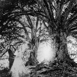 ślubna sesja plenerowa