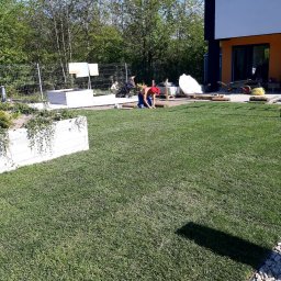 Wycinka drzew Łódź 2