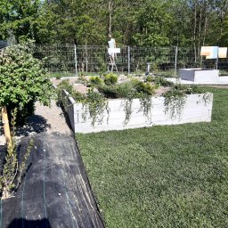 Wycinka drzew Łódź 3