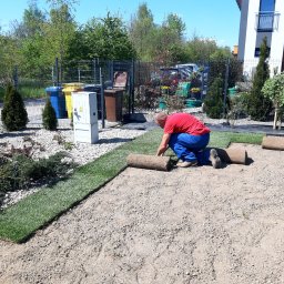 Wycinka drzew Łódź 1