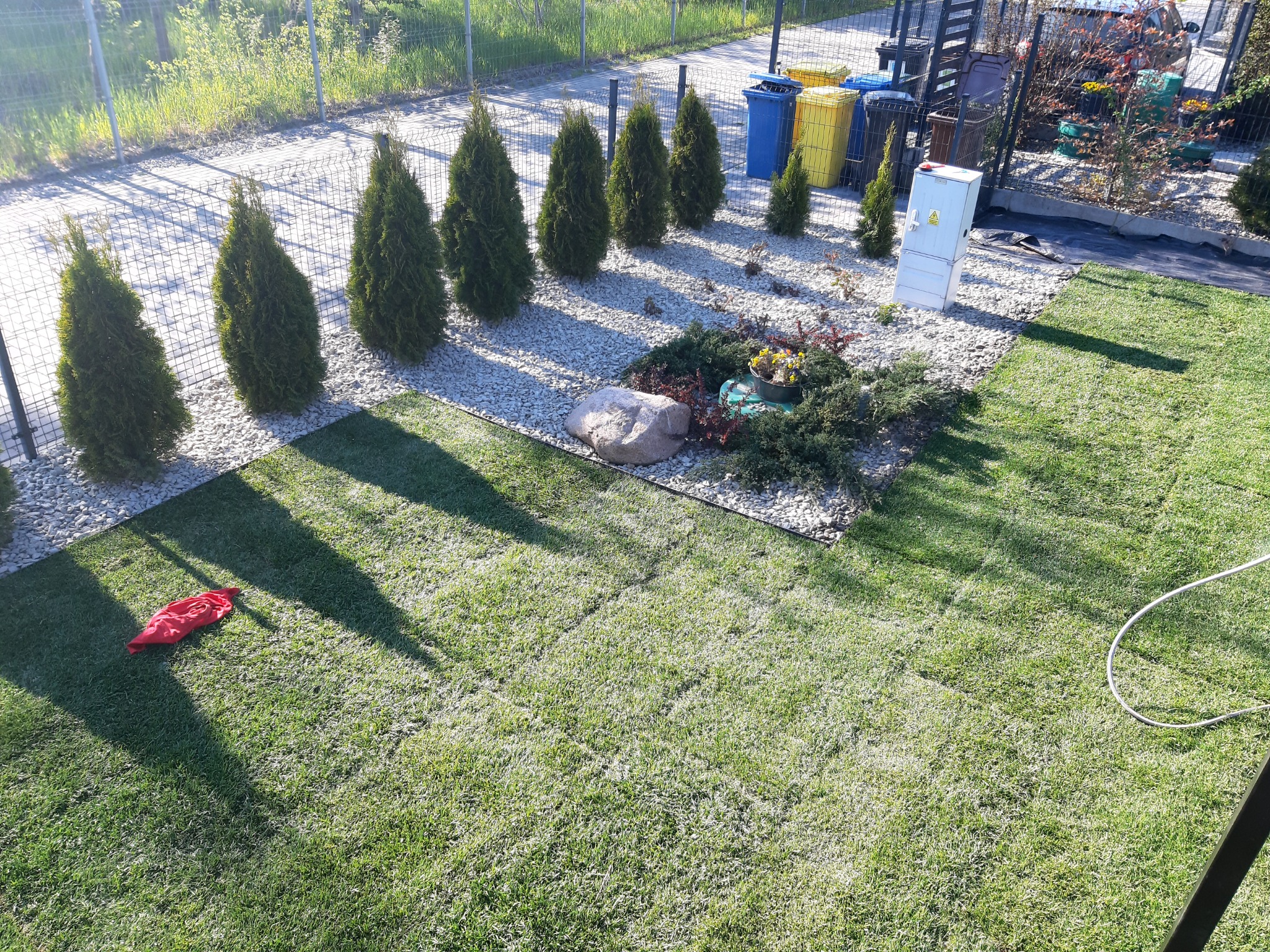 Widok z góry na ogród z równo ułożoną trawą w rolkach, rządkiem tuj na tle białych kamieni, z widocznymi śladami łączeń trawy i czerwonym workiem leżącym na trawniku.