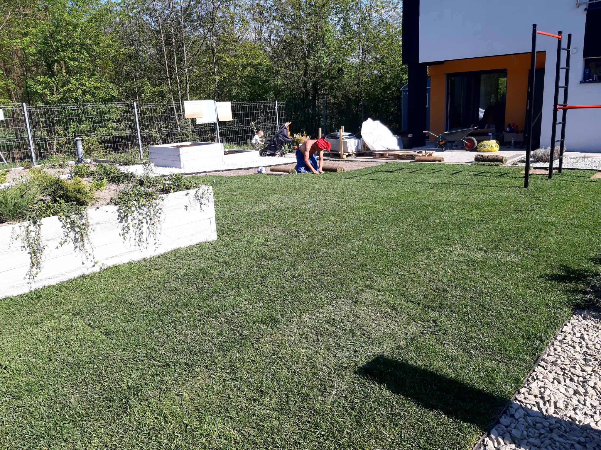 Układanie trawy z rolki na posesji z nowoczesnym domem; widoczny mężczyzna w czerwonej czapce na kolanach, rozwijający rolkę trawy, w tle dziecko w wózku, białe donice i drzewa.