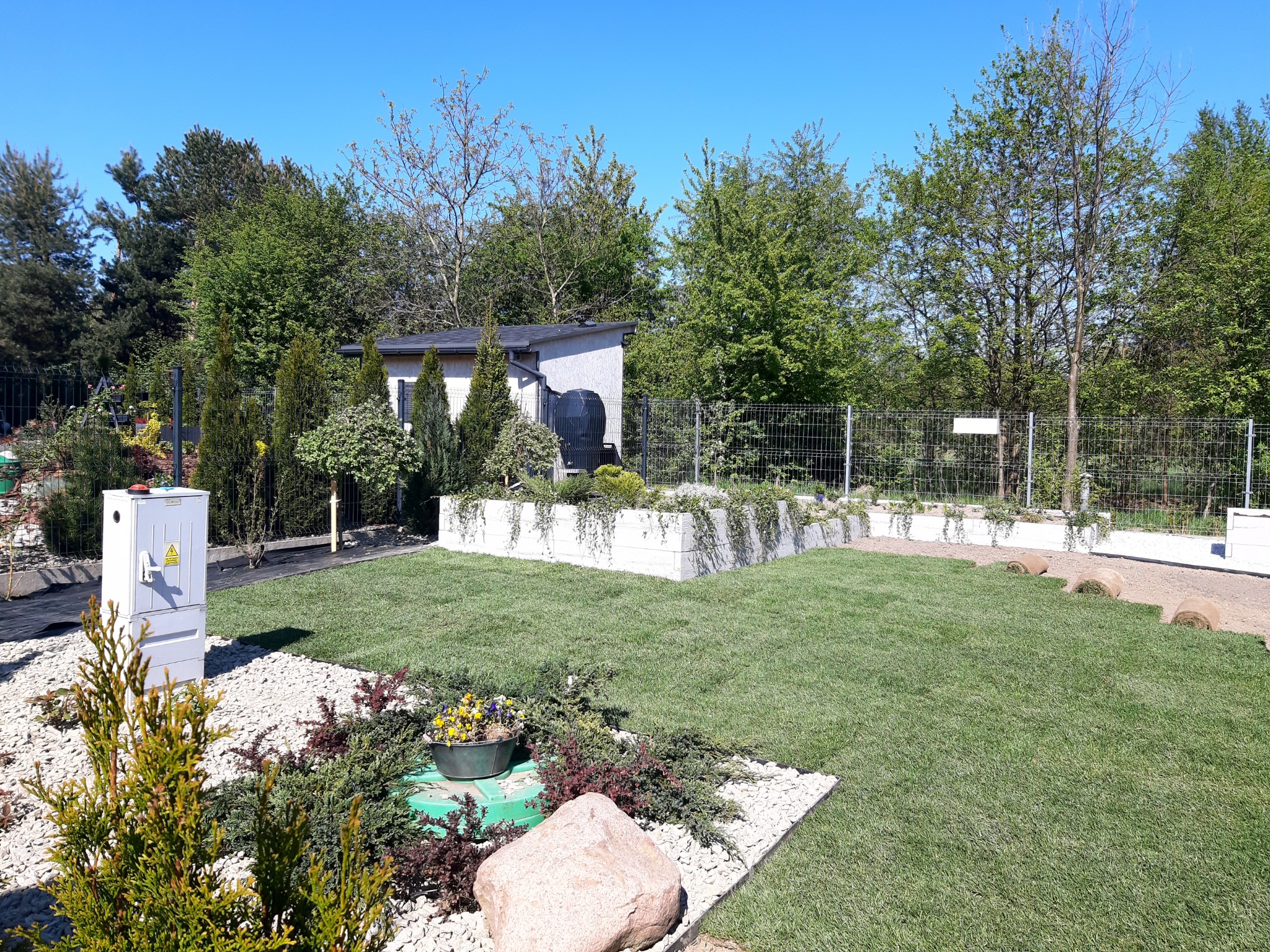 Starannie zaprojektowany ogród z równo przystrzyżonym trawnikiem, ozdobnymi krzewami, kamieniami dekoracyjnymi, rabatą kwiatową w donicy i małym budynkiem gospodarczym w tle.