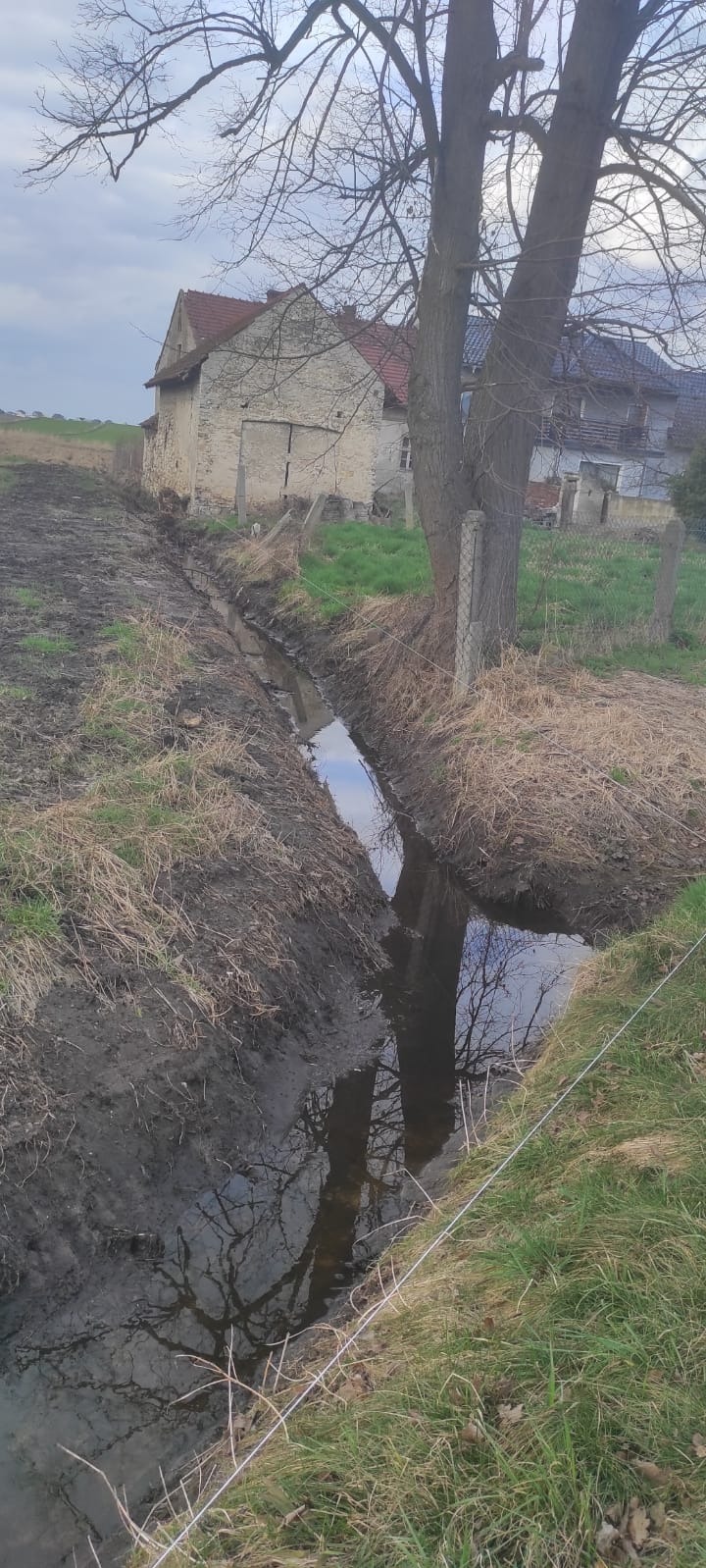 Wykopany rów melioracyjny z wodą, odbijający nagie drzewa i pochmurne niebo, obok stara zabudowa gospodarcza i częściowo zarośnięte pole.