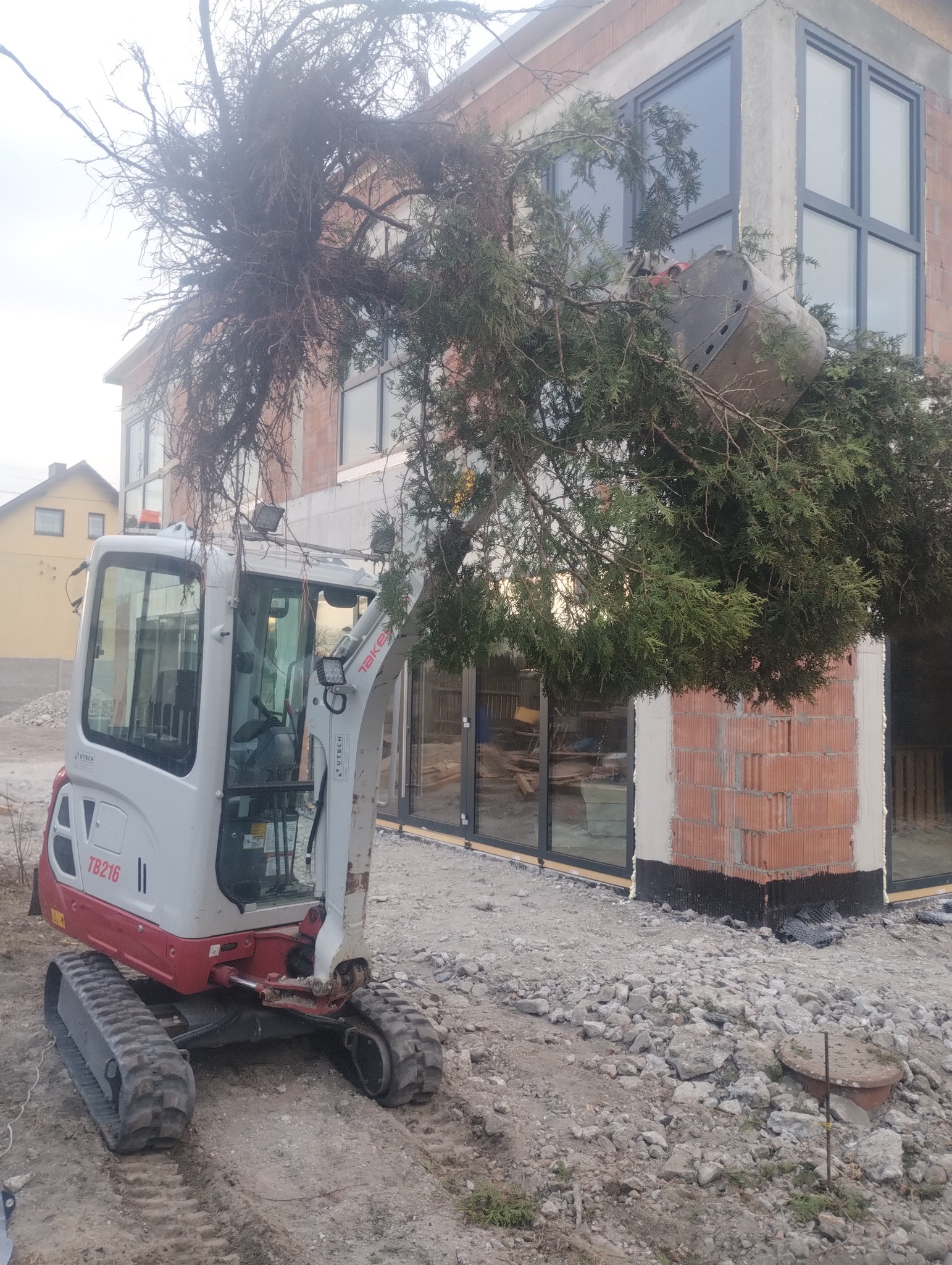 Mini koparka Takeuchi TB216 podnosi wykopaną tuję korzeniami do góry na tle surowego budynku z cegły kratówki i dużych okien.