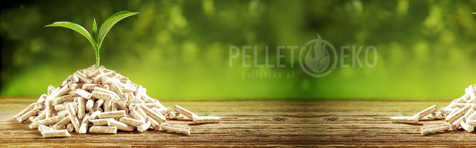 Kopuła z pelletu drzewnego z młodą roślinką na szczycie, na drewnianym blacie i rozmytym zielonym tle z logotypem.