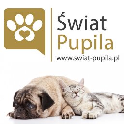 Świat Pupila