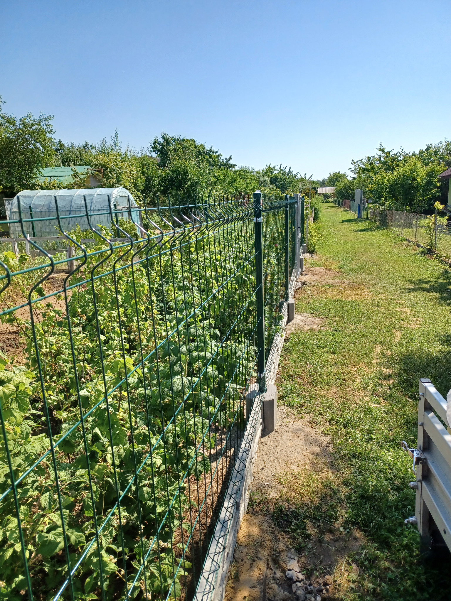 Nowo postawione, zielone ogrodzenie panelowe na betonowej podmurówce, oddzielające ogródek z uprawami od trawnika w słoneczny dzień.