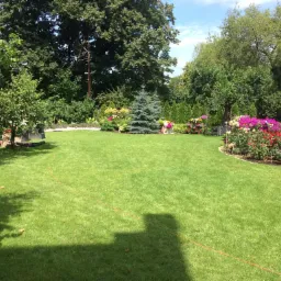 Zadbany trawnik z równo przystrzyżoną trawą, rabaty kwiatowe z różnokolorowymi kwiatami, iglak i drzewa liściaste w tle, widoczna linia wyznaczająca obszar, narzędzie ogrodnicze oparte o drzewo.