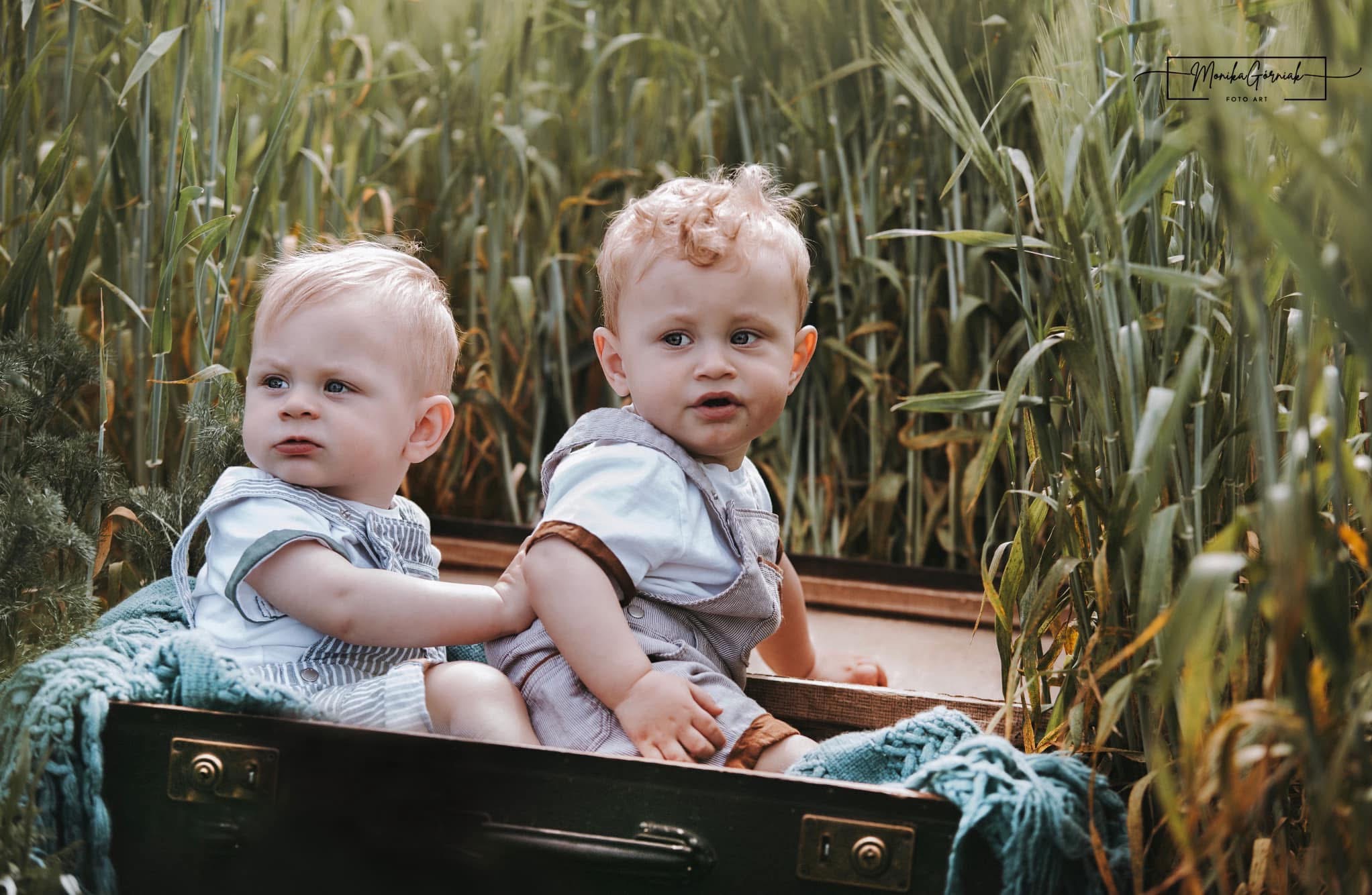 Urocze bliźniaki w stylizowanych ubrankach, siedzące w starej walizce na tle wysokich traw. Delikatne światło podkreśla ich jasne włosy i niewinne spojrzenia.