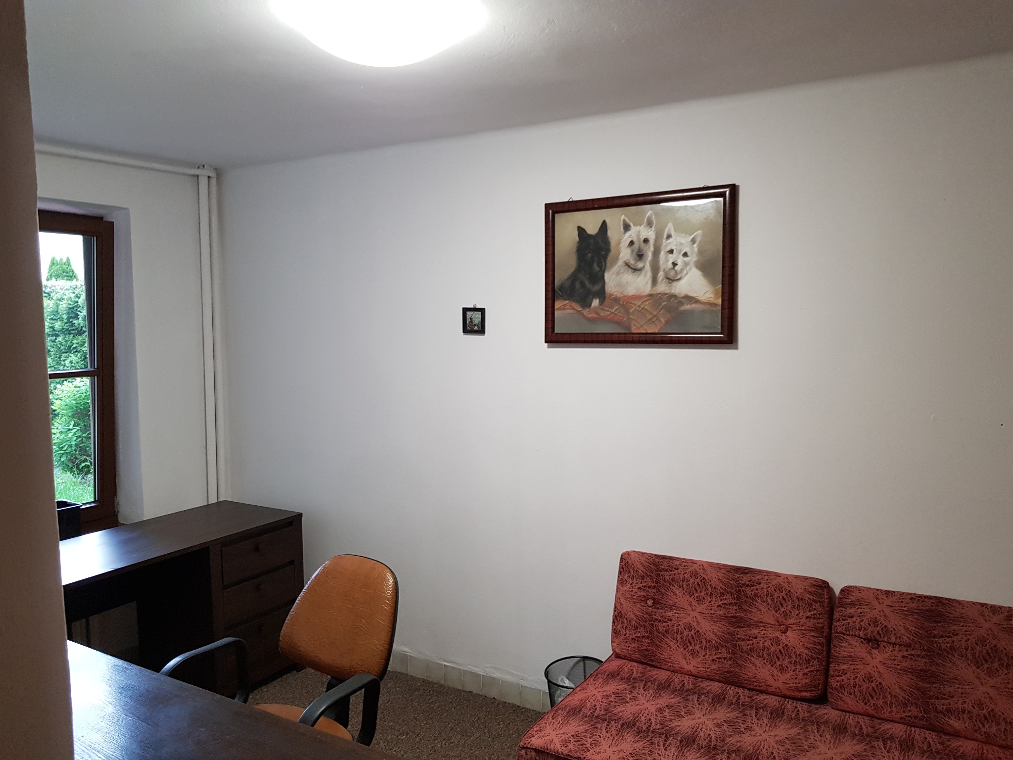 Pokój biurowy z brązowym biurkiem, pomarańczowym krzesłem i sofą w odcieniach czerwieni, na ścianie obraz z trzema psami i mały obrazek nad listwą przypodłogową.