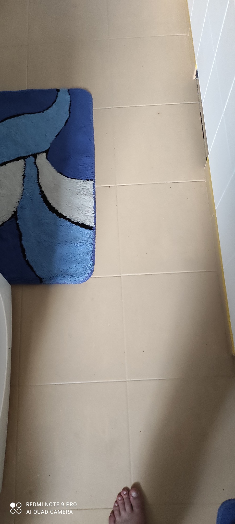 Terakota renowacja starej