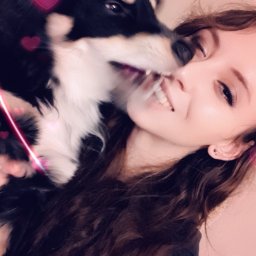 Wyprowadzanie psów Lublin 2