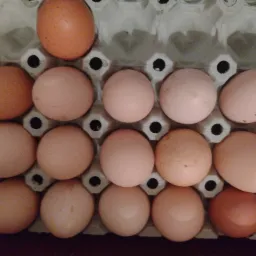 Jaja z hodowli wiejskiej