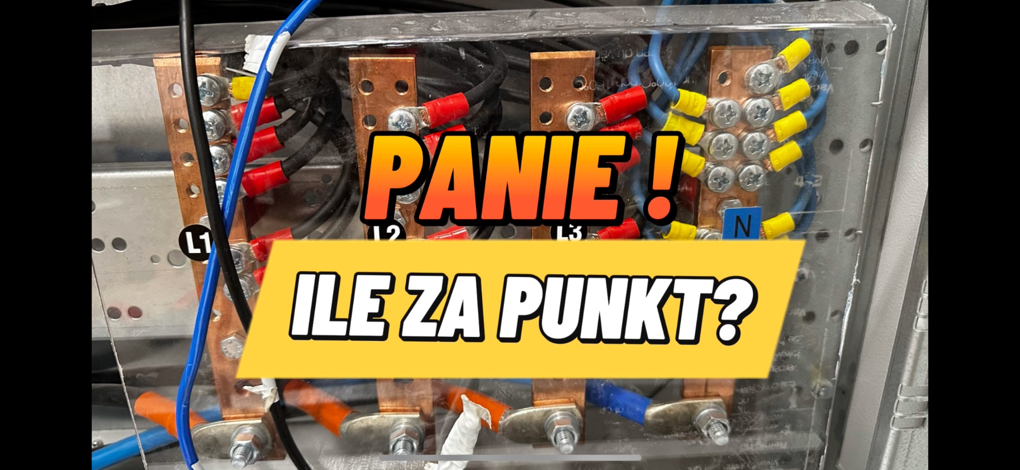 Zbliżenie na skrzynkę rozdzielczą z przewodami oznaczonymi kolorami i symbolami L1, L2, L3, N; na zdjęciu nałożony tekst 'Panie! Ile za punkt?'
