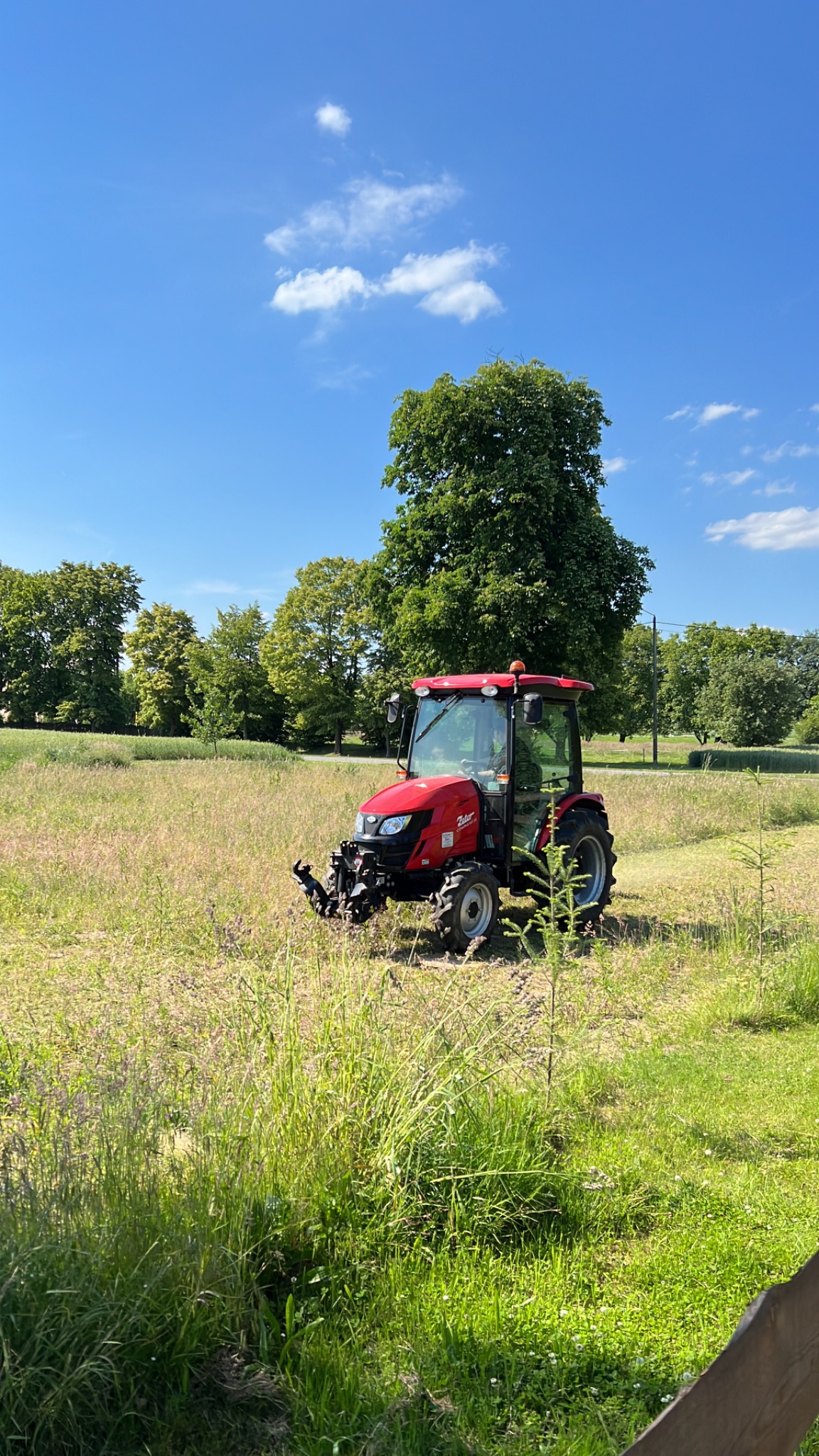 Czerwony traktor z kosiarką bijakową na łące w słoneczny dzień, wysoka trawa częściowo skoszona, drzewa w tle.