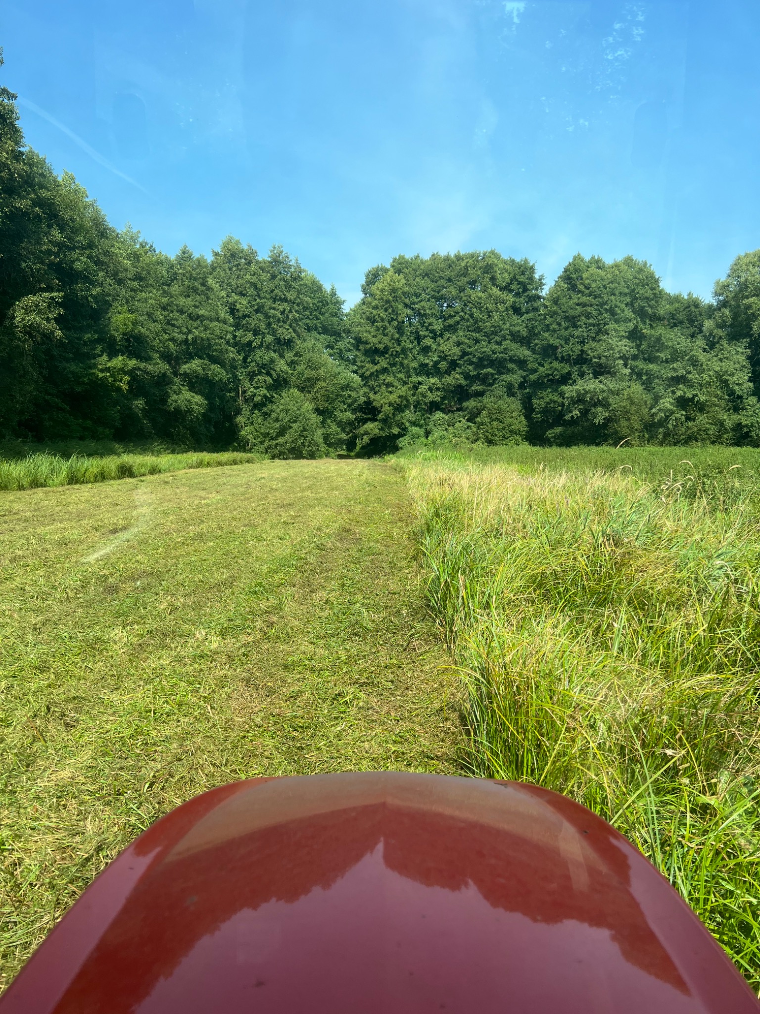Widok z perspektywy operatora kosiarki bijakowej na łąkę z częściowo skoszonym pasem trawy. W tle widoczny las pod błękitnym niebem.