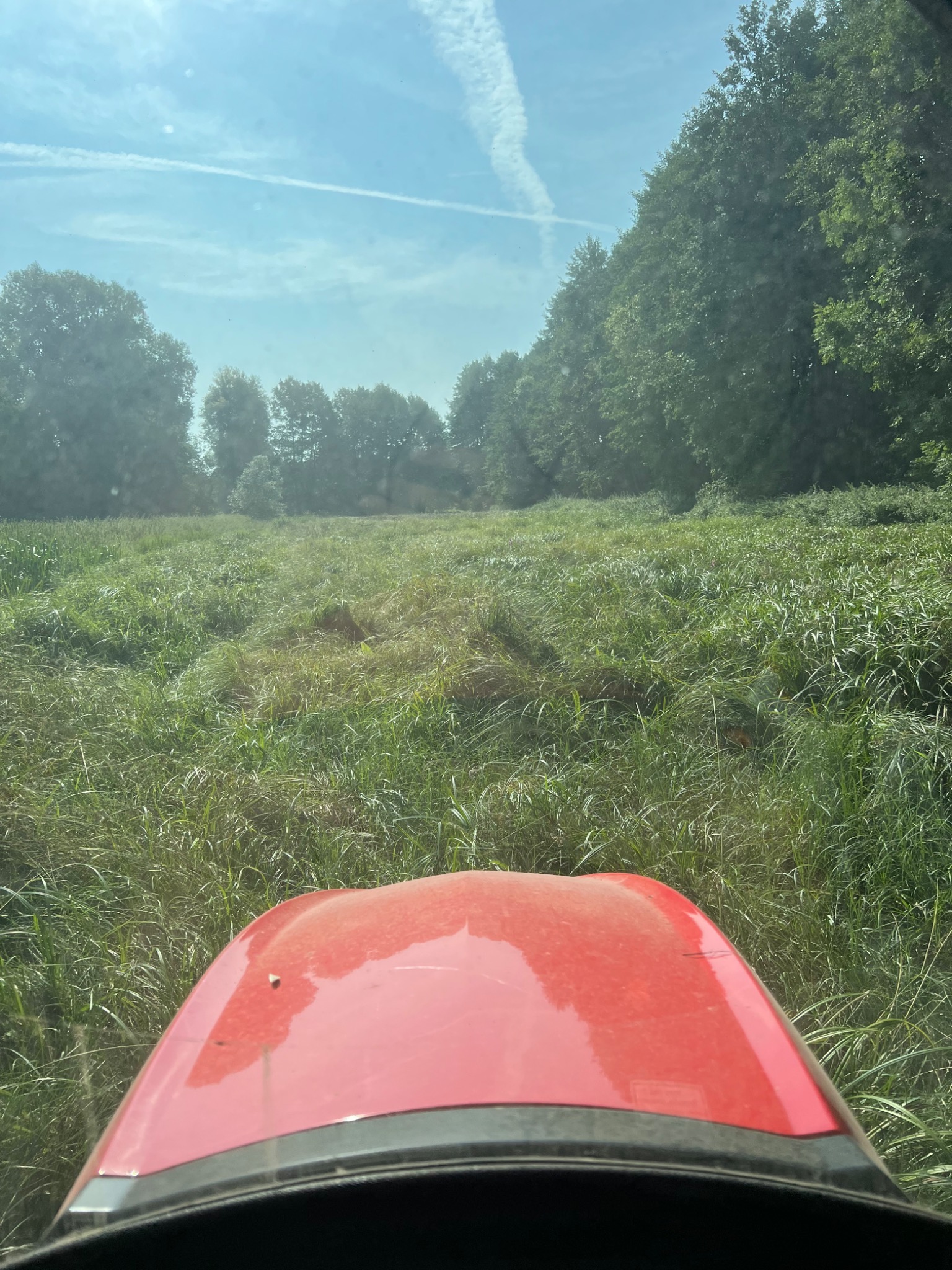 Widok z perspektywy operatora na łąkę po koszeniu kosiarką bijakową, z widocznym fragmentem czerwonej maski ciągnika i śladami cięcia w wysokiej trawie na tle drzew i błękitnego nieba.