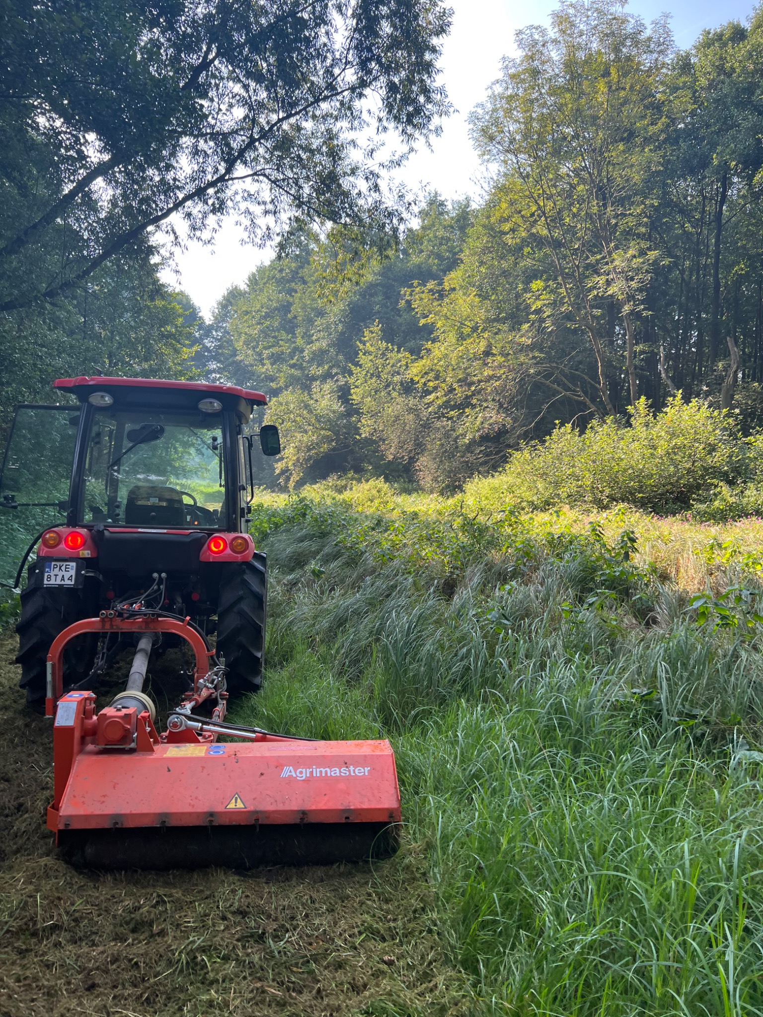 Czerwony traktor z kosiarką bijakową Agrimaster na łące, po koszeniu widoczny pokos, w tle drzewa.