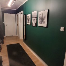 Fenix Grzegorz Woźniak - Nowoczesny przedpokój z ciemnozieloną ścianą, trzema czarno-białymi obrazami w ramkach, długim, ciemnym dywanem i drewnopodobną podłogą, oświetlony lampą sufitową z żarówkami Edisona.