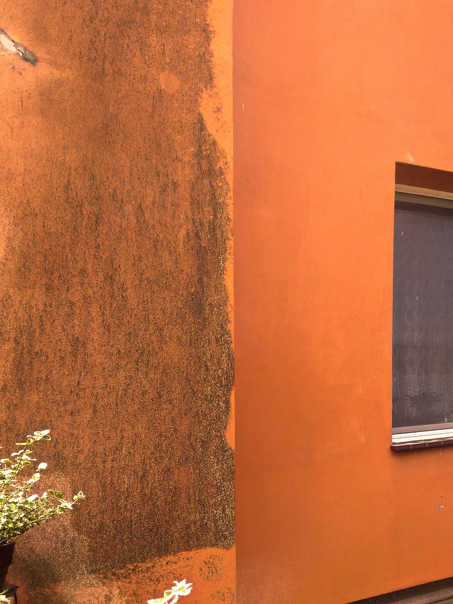 Fragment pomarańczowej elewacji budynku: lewa strona zabrudzona, prawa czysta z oknem. U dołu widoczny fragment rośliny w doniczce.
