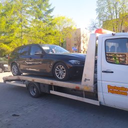 Przeprowadzki Nasutów 1