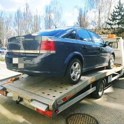 Przeprowadzki Nasutów 3