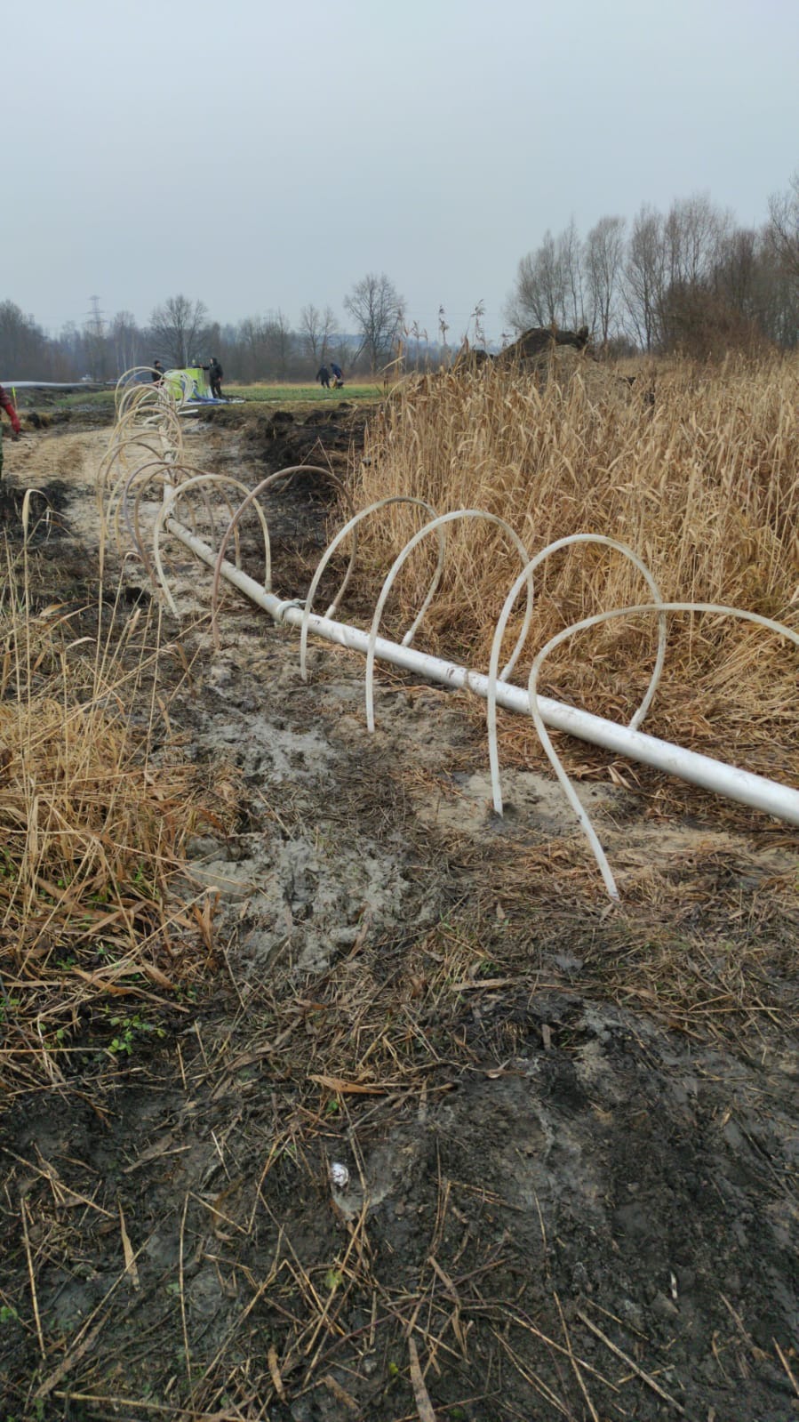 System odwadniający igłofiltrowy z białych rur PVC, ułożony wzdłuż wykopu w grząskim terenie, z widocznymi pracownikami w tle i suchą trawą po bokach.