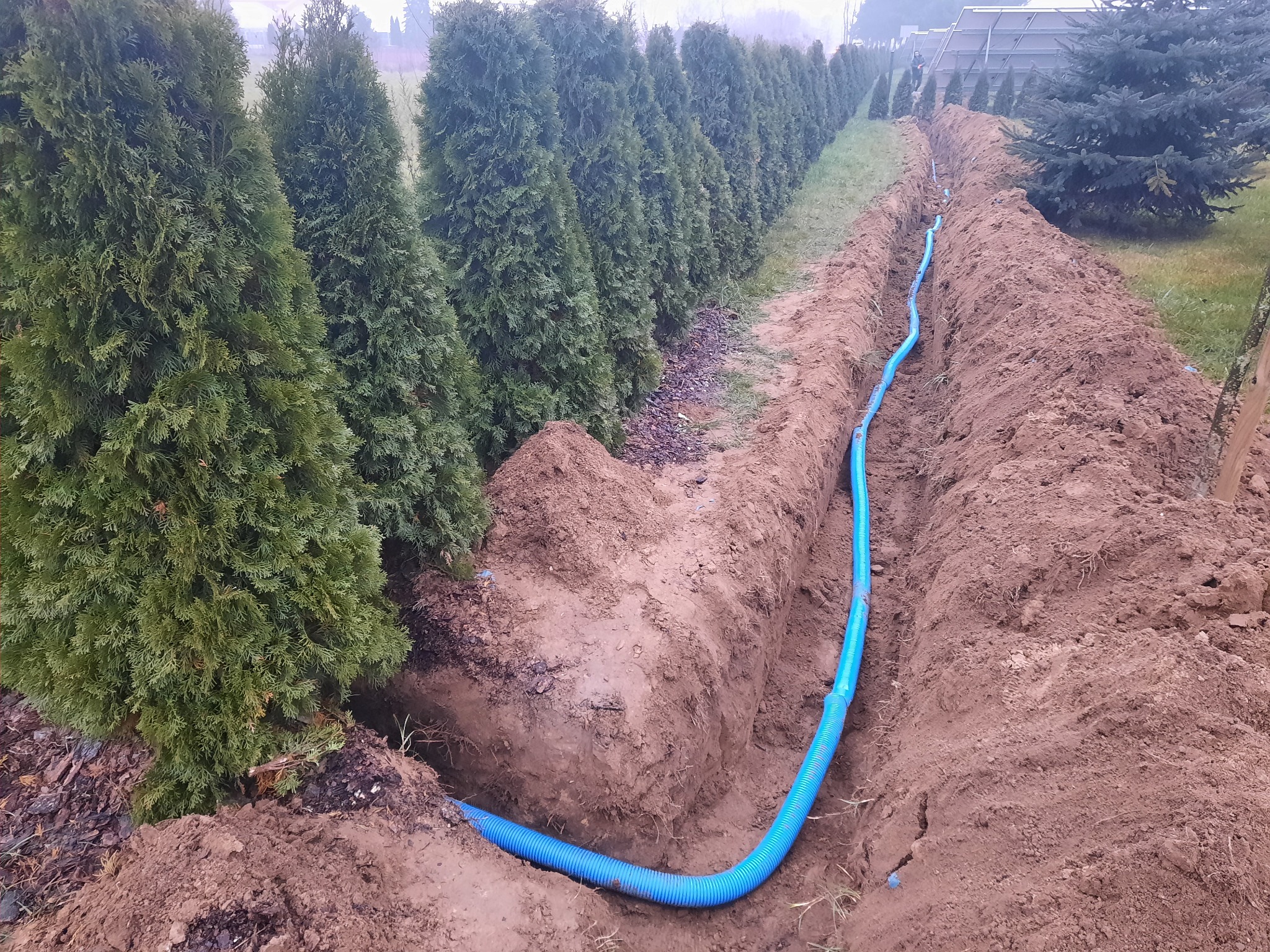 Wykop z niebieskim, karbowanym przewodem ułożonym w ziemi, prawdopodobnie do instalacji elektrycznej paneli słonecznych, widoczne tuje i panele w tle.
