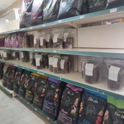 Karma dla zwierząt domowych Kłodawa 2