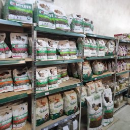 Karma dla zwierząt domowych Kłodawa 1