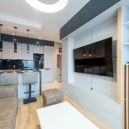 Nowoczesne wnętrze: aneks kuchenny z czarnym blatem i barkiem, połączony z salonem, w którym znajduje się biała szafka RTV i regał z drewnianymi lamelami.