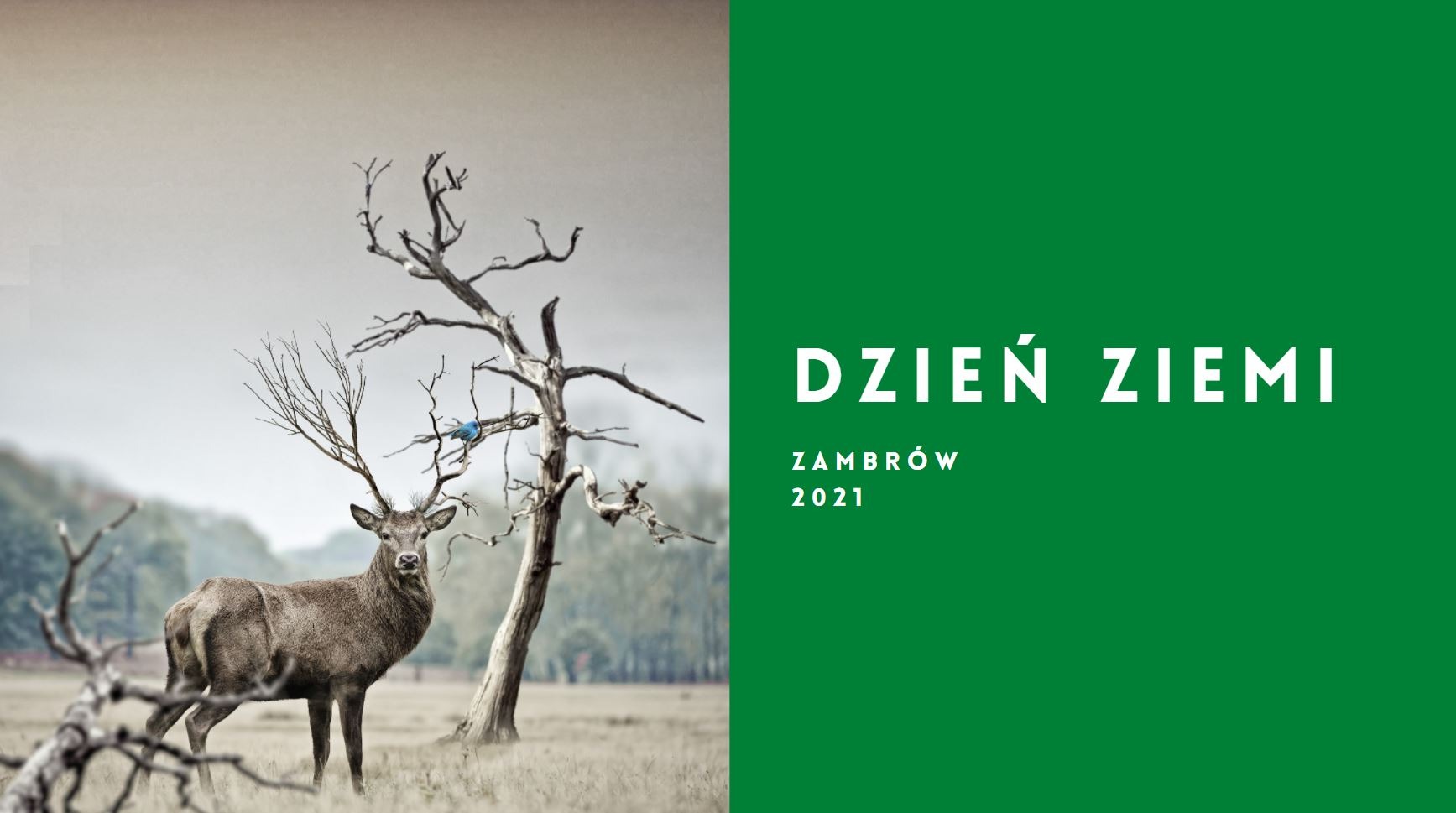 Plansza graficzna na potrzeby wydarzenia. Obróbka zdjęcia