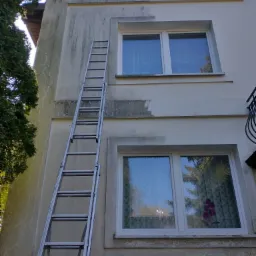 Dwupiętrowy budynek z częściowo umytą elewacją, na której widać różnicę w kolorze. Do ściany oparta drabina. W oknach firanki i odbicia drzew.