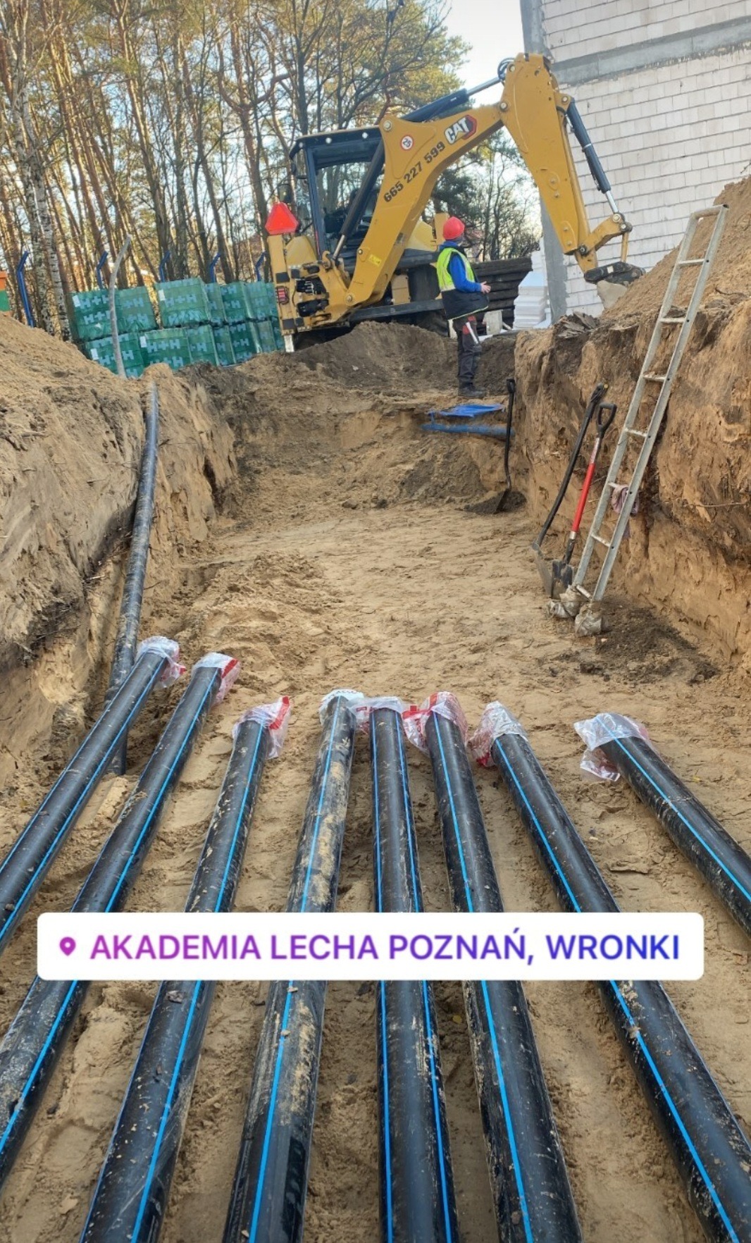 Żółta koparka CAT przy wykopie z ułożonymi rurami z niebieskim paskiem, przygotowanymi do instalacji, obok drabina i narzędzia.