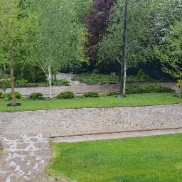 Kamienna ścieżka wijąca się przez zadbany park z młodymi drzewami, krzewami i równo przystrzyżonym trawnikiem, oświetlona naturalnym światłem.